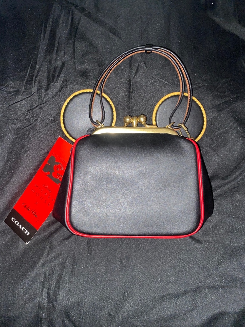 Coach x Mickey Mouse x Keith haring